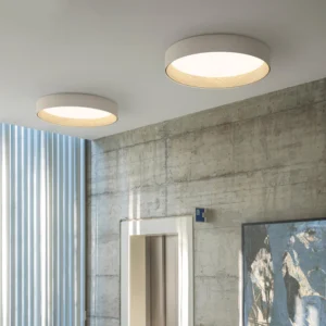 Modern Minimalist Style LED Ceiling Lighting Fixtures Nordic Interior Surface Mount Living Room Kitchen Ceiling Lamp Luminaire